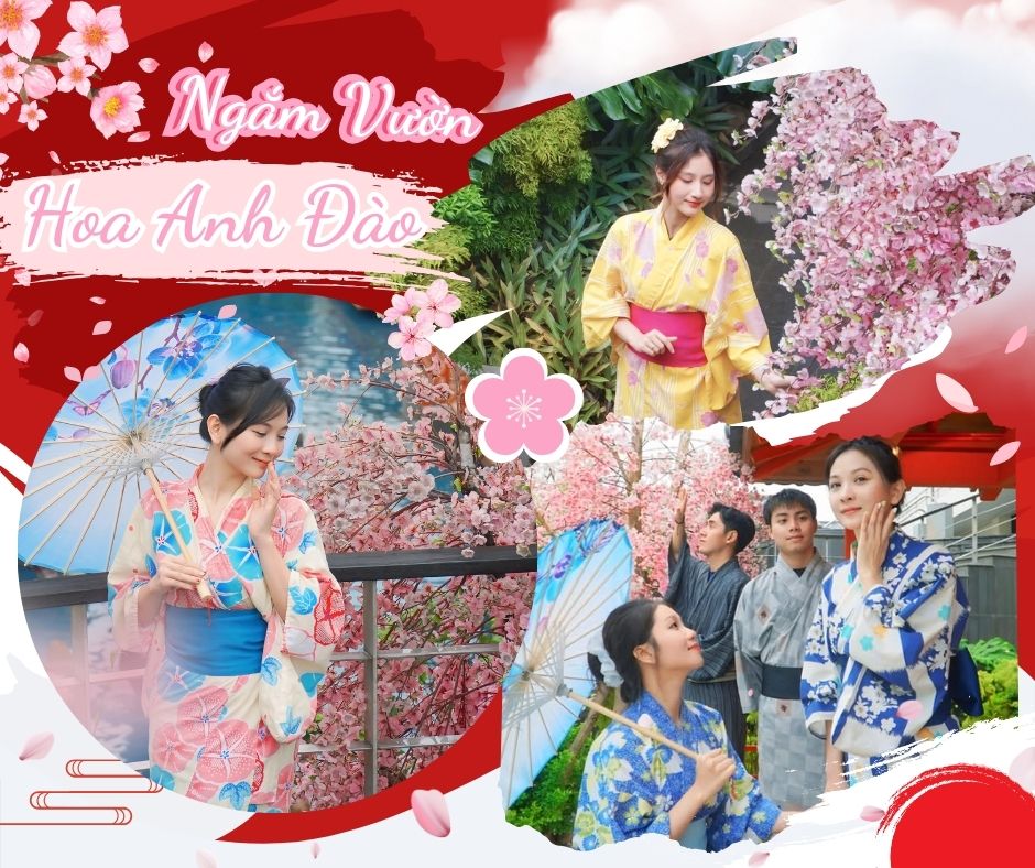 Đại lý vé Mikazuki Đà Nẵng uy tín, chính thức