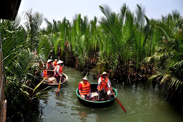 Rừng Dừa 7 Mẫu - Là nơi du khách có thể chèo thúng để ngắm nhìn những rặng dừa.