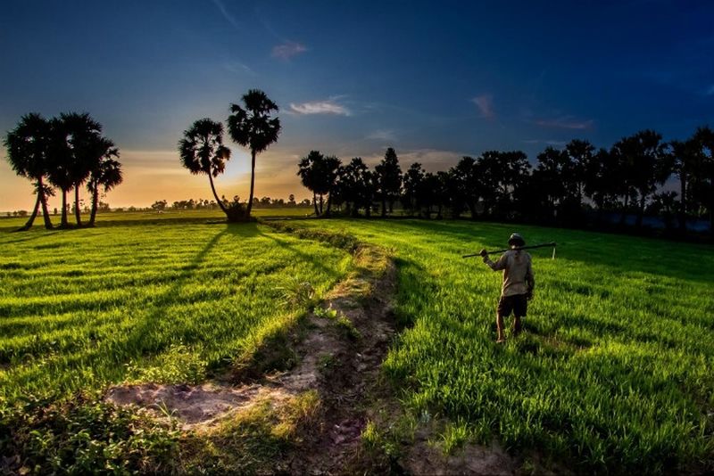 Hồ Chí Minh Mỹ Tho Bến Tre 1 Ngày