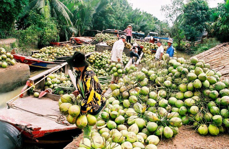 Tiền Giang Bến Tre 1 Ngày - Khám phá miền tây