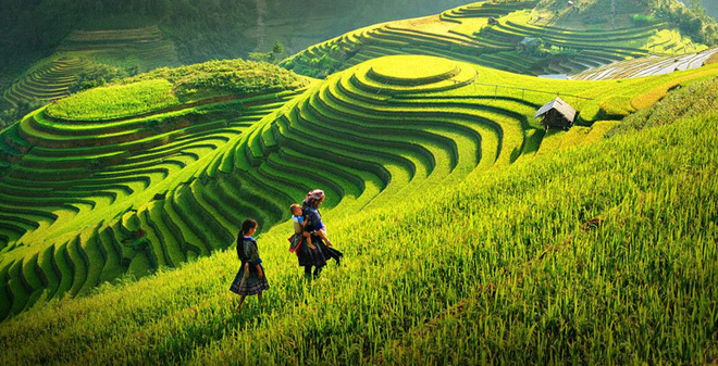 Hà Giang Cao Nguyên Đá Đồng Văn 3 Ngày 2 Đêm 