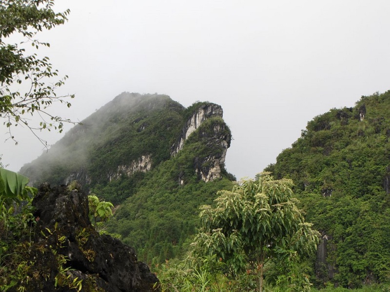 Hà Nội Sapa Cát Cát Fansipan 2 Ngày 1 Đêm