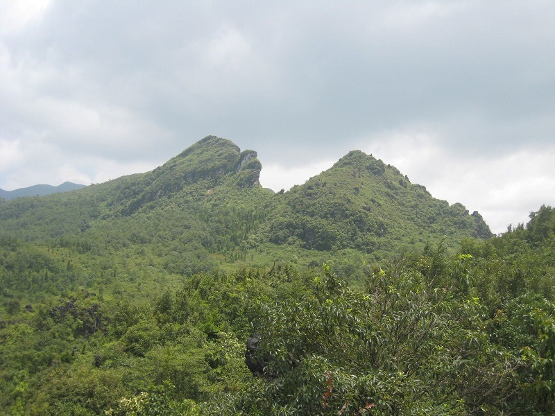 Hà Nội Sapa Fansipan Hàm Rồng 2 Ngày 1 Đêm