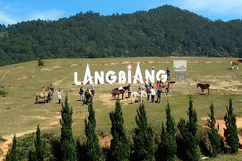Đà Lạt 3 Ngày 2 Đêm