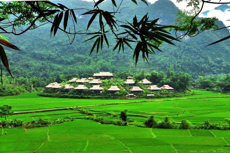 Hà Nội Mai Châu Mộc Châu 2N1Đ - Oto