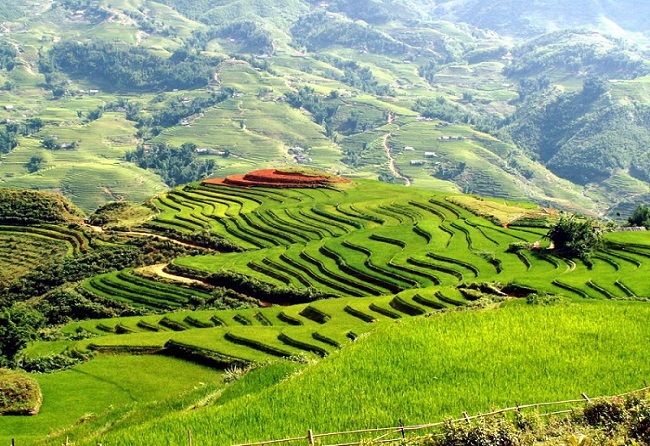 Hà Nội Mai Châu 1 Ngày | Du Lịch Miền Bắc | Du lịch Mai Châu