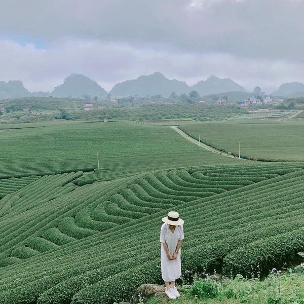 Hà Nội Mai Châu Mộc Châu 2N1Đ - Oto