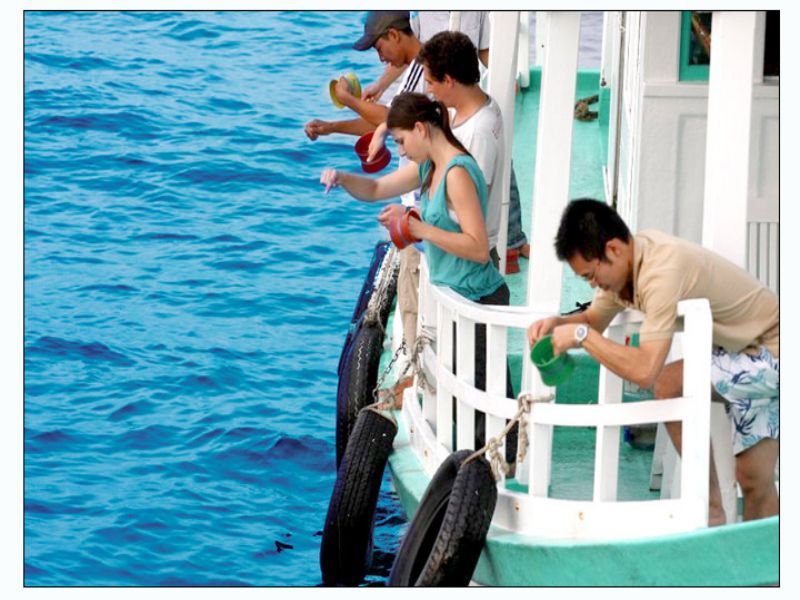 Hà Nội Phú Quốc 4 Ngày 3 Đêm - Khám phá Biển Đảo