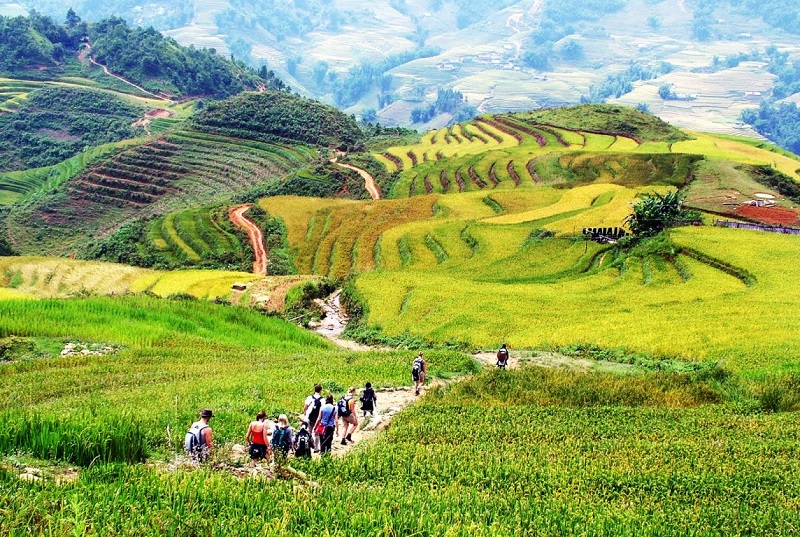 Hà Nội Sapa Cát Cát Fansipan 2 Ngày 1 Đêm