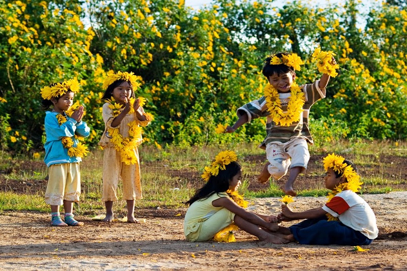 Đông đến hãy cùng em ngắm hoa Dã Quỳ Đà Lạt nhé!