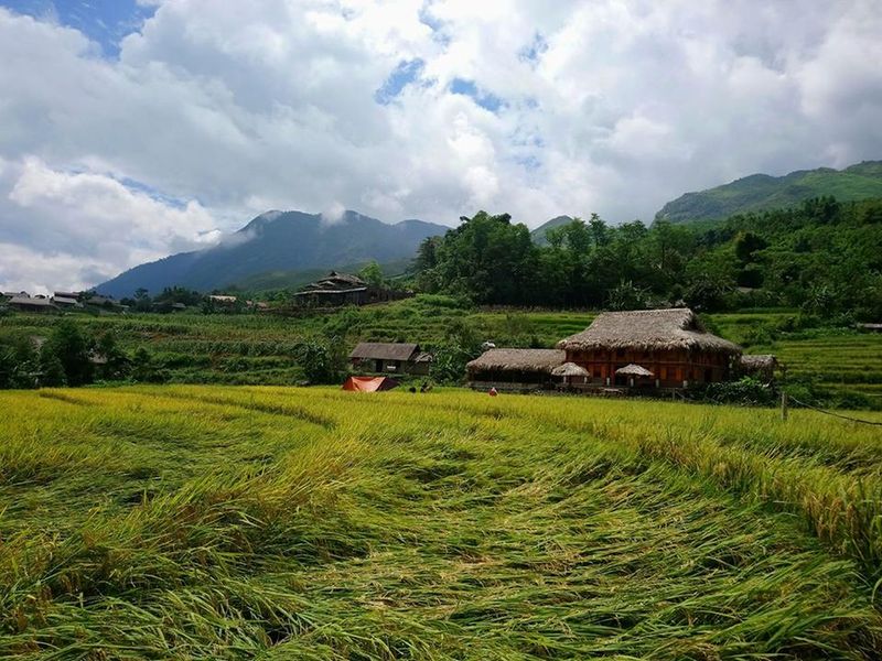 Tả Van Family Homestay tại Sapa